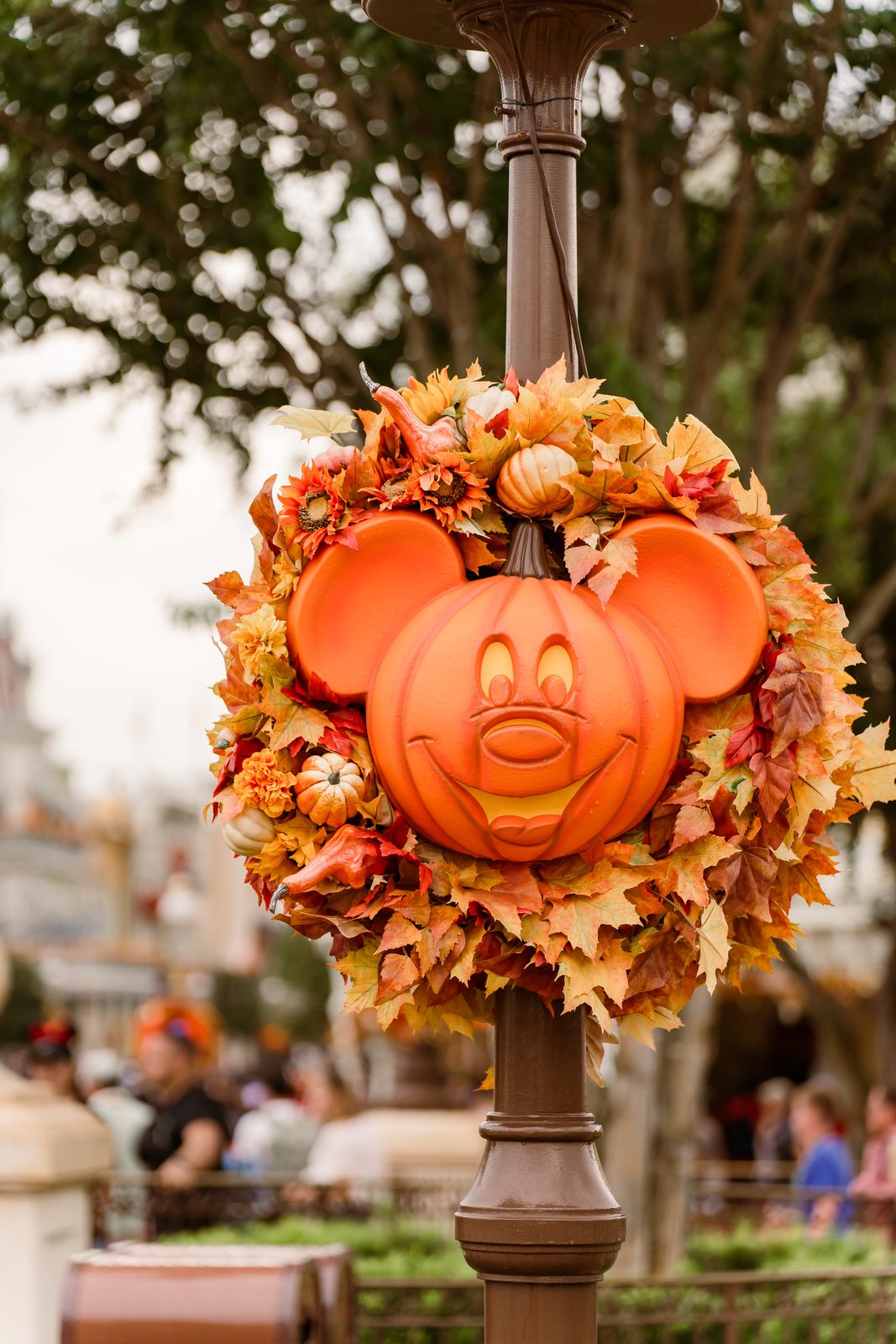 Mickey pumpkin wreath